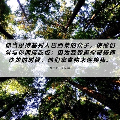 Picture 06 - 列 王 记 上 2:7 CUVS - 你 当 恩 待 基 列 人 巴 西 莱 的 众 - Bible Verse Picture