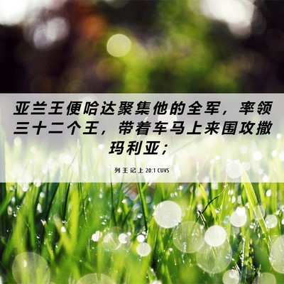 Picture 06 - 列 王 记 上 20:1 CUVS - 亚 兰 王 便 哈 达 聚 集 他 的 全 军 - Bible Verse Picture