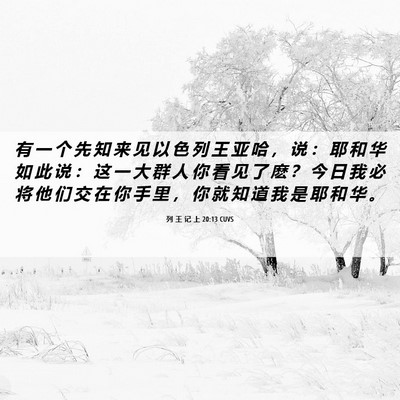 Picture 06 - 列 王 记 上 20:13 CUVS - 有 一 个 先 知 来 见 以 色 列 王 亚 - Bible Verse Picture