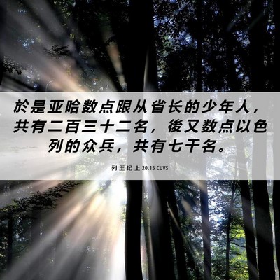 Picture 06 - 列 王 记 上 20:15 CUVS - 於 是 亚 哈 数 点 跟 从 省 长 的 少 - Bible Verse Picture