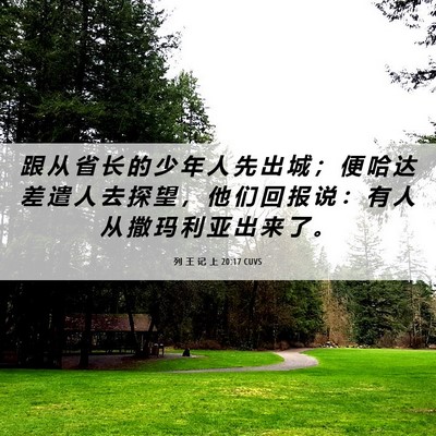 Picture 06 - 列 王 记 上 20:17 CUVS - 跟 从 省 长 的 少 年 人 先 出 城 ； - Bible Verse Picture