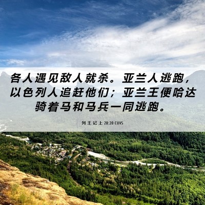 Picture 06 - 列 王 记 上 20:20 CUVS - 各 人 遇 见 敌 人 就 杀 。 亚 兰 人 - Bible Verse Picture