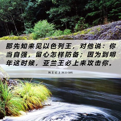 Picture 06 - 列 王 记 上 20:22 CUVS - 那 先 知 来 见 以 色 列 王 ， 对 他 - Bible Verse Picture