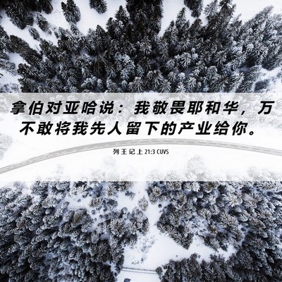 Picture 06 - 列 王 记 上 21:3 CUVS - 拿 伯 对 亚 哈 说 ： 我 敬 畏 耶 和 - Bible Verse Picture