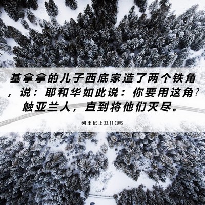 Picture 06 - 列 王 记 上 22:11 CUVS - 基 拿 拿 的 儿 子 西 底 家 造 了 两 - Bible Verse Picture