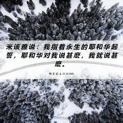 Picture 06 - 列 王 记 上 22:14 CUVS - 米 该 雅 说 ： 我 指 着 永 生 的 耶 - Bible Verse Picture