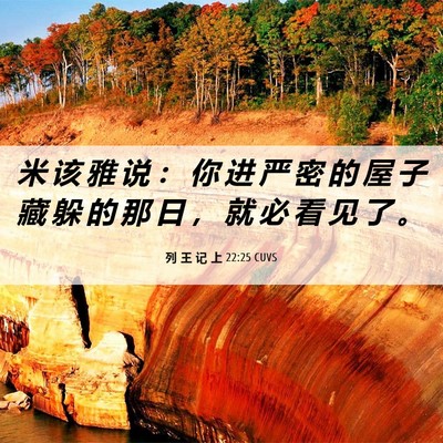 Picture 06 - 列 王 记 上 22:25 CUVS - 米 该 雅 说 ： 你 进 严 密 的 屋 子 - Bible Verse Picture