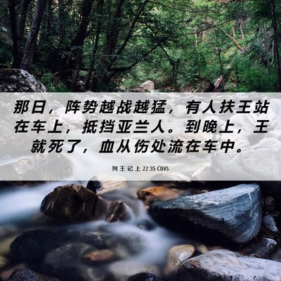 Picture 06 - 列 王 记 上 22:35 CUVS - 那 日 ， 阵 势 越 战 越 猛 ， 有 人 - Bible Verse Picture