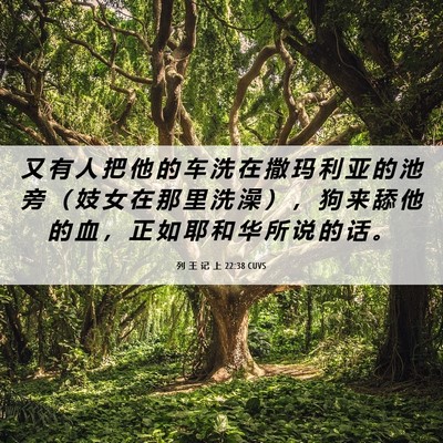 Picture 06 - 列 王 记 上 22:38 CUVS - 又 有 人 把 他 的 车 洗 在 撒 玛 利 - Bible Verse Picture