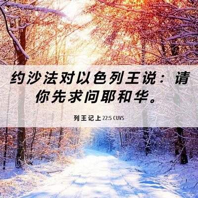 Picture 06 - 列 王 记 上 22:5 CUVS - 约 沙 法 对 以 色 列 王 说 ： 请 你 - Bible Verse Picture