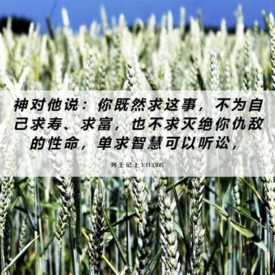 Picture 06 - 列 王 记 上 3:11 CUVS - 神 对 他 说 ： 你 既 然 求 这 事 ， - Bible Verse Picture