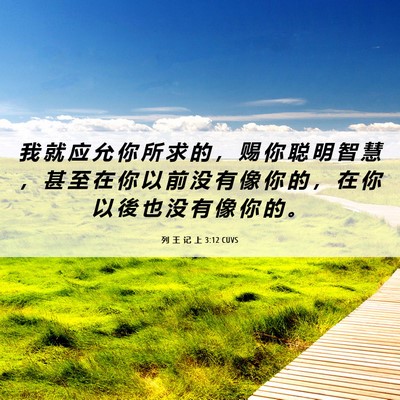 Picture 06 - 列 王 记 上 3:12 CUVS - 我 就 应 允 你 所 求 的 ， 赐 你 聪 - Bible Verse Picture