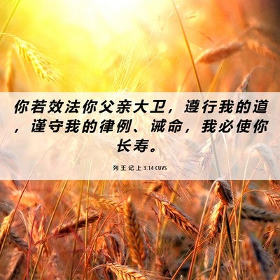 Picture 06 - 列 王 记 上 3:14 CUVS - 你 若 效 法 你 父 亲 大 卫 ， 遵 行 - Bible Verse Picture