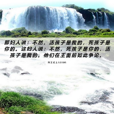 Picture 06 - 列 王 记 上 3:22 CUVS - 那 妇 人 说 ： 不 然 ， 活 孩 子 是 - Bible Verse Picture