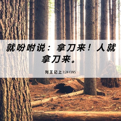Picture 06 - 列 王 记 上 3:24 CUVS - 就 吩 咐 说 ： 拿 刀 来 ！ 人 就 拿 - Bible Verse Picture