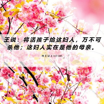 Picture 06 - 列 王 记 上 3:27 CUVS - 王 说 ： 将 活 孩 子 给 这 妇 人 ， - Bible Verse Picture
