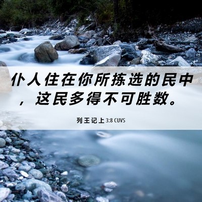 Picture 06 - 列 王 记 上 3:8 CUVS - 仆 人 住 在 你 所 拣 选 的 民 中 ， - Bible Verse Picture