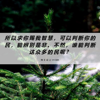 Picture 06 - 列 王 记 上 3:9 CUVS - 所 以 求 你 赐 我 智 慧 ， 可 以 判 - Bible Verse Picture