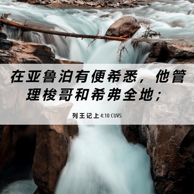 Picture 06 - 列 王 记 上 4:10 CUVS - 在 亚 鲁 泊 有 便 希 悉 ， 他 管 理 - Bible Verse Picture