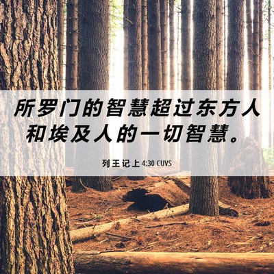Picture 06 - 列 王 记 上 4:30 CUVS - 所 罗 门 的 智 慧 超 过 东 方 人 和 - Bible Verse Picture