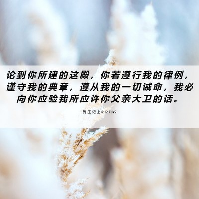 Picture 06 - 列 王 记 上 6:12 CUVS - 论 到 你 所 建 的 这 殿 ， 你 若 遵 - Bible Verse Picture