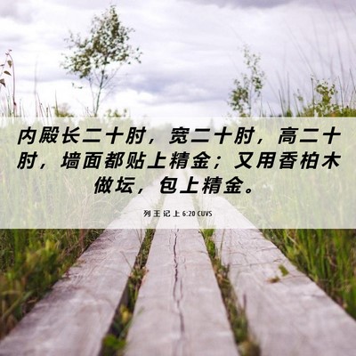 Picture 06 - 列 王 记 上 6:20 CUVS - 内 殿 长 二 十 肘 ， 宽 二 十 肘 ， - Bible Verse Picture