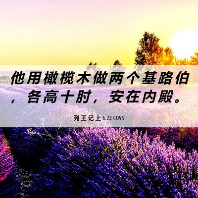 Picture 06 - 列 王 记 上 6:23 CUVS - 他 用 橄 榄 木 做 两 个 基 路 伯 ， - Bible Verse Picture