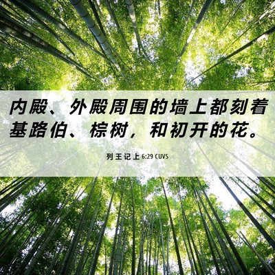 Picture 06 - 列 王 记 上 6:29 CUVS - 内 殿 、 外 殿 周 围 的 墙 上 都 刻 - Bible Verse Picture