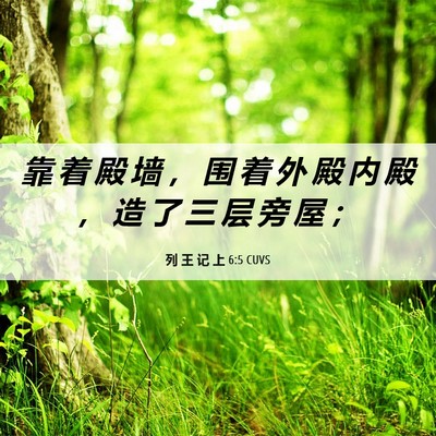 Picture 06 - 列 王 记 上 6:5 CUVS - 靠 着 殿 墙 ， 围 着 外 殿 内 殿 ， - Bible Verse Picture
