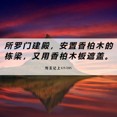Picture 06 - 列 王 记 上 6:9 CUVS - 所 罗 门 建 殿 ， 安 置 香 柏 木 的 - Bible Verse Picture