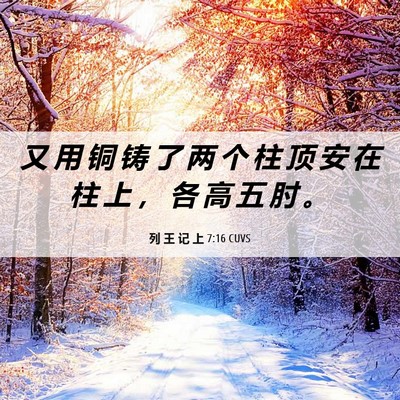 Picture 06 - 列 王 记 上 7:16 CUVS - 又 用 铜 铸 了 两 个 柱 顶 安 在 柱 - Bible Verse Picture