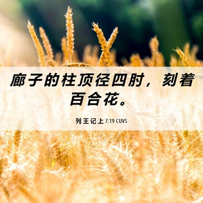 Picture 06 - 列 王 记 上 7:19 CUVS - 廊 子 的 柱 顶 径 四 肘 ， 刻 着 百 - Bible Verse Picture