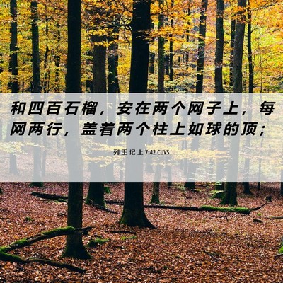 Picture 06 - 列 王 记 上 7:42 CUVS - 和 四 百 石 榴 ， 安 在 两 个 网 子 - Bible Verse Picture