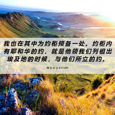 Picture 06 - 列 王 记 上 8:21 CUVS - 我 也 在 其 中 为 约 柜 预 备 一 处 - Bible Verse Picture