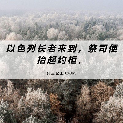 Picture 06 - 列 王 记 上 8:3 CUVS - 以 色 列 长 老 来 到 ， 祭 司 便 抬 - Bible Verse Picture