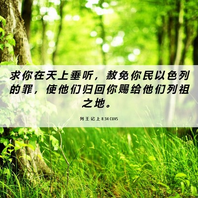 Picture 06 - 列 王 记 上 8:34 CUVS - 求 你 在 天 上 垂 听 ， 赦 免 你 民 - Bible Verse Picture