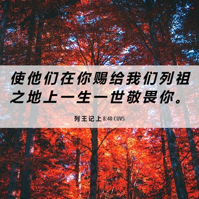 Picture 06 - 列 王 记 上 8:40 CUVS - 使 他 们 在 你 赐 给 我 们 列 祖 之 - Bible Verse Picture