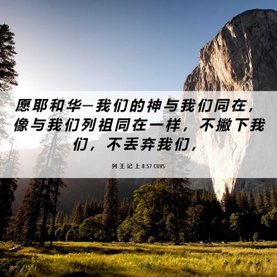 Picture 06 - 列 王 记 上 8:57 CUVS - 愿 耶 和 华 ─ 我 们 的 神 与 我 们 - Bible Verse Picture