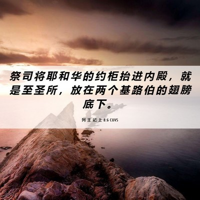Picture 06 - 列 王 记 上 8:6 CUVS - 祭 司 将 耶 和 华 的 约 柜 抬 进 内 - Bible Verse Picture