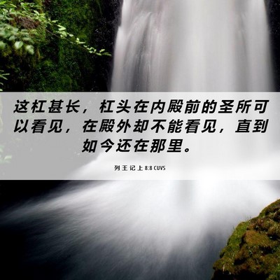 Picture 06 - 列 王 记 上 8:8 CUVS - 这 杠 甚 长 ， 杠 头 在 内 殿 前 的 - Bible Verse Picture