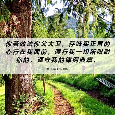 Picture 06 - 列 王 记 上 9:4 CUVS - 你 若 效 法 你 父 大 卫 ， 存 诚 实 - Bible Verse Picture