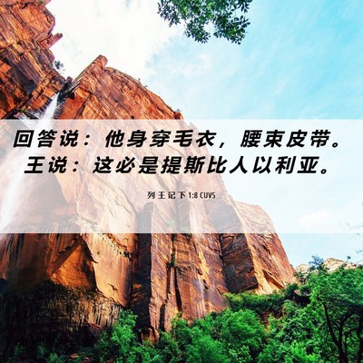 Picture 06 - 列 王 记 下 1:8 CUVS - 回 答 说 ： 他 身 穿 毛 衣 ， 腰 束 - Bible Verse Picture