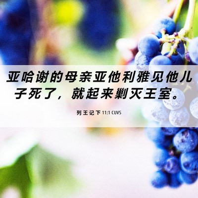Picture 06 - 列 王 记 下 11:1 CUVS - 亚 哈 谢 的 母 亲 亚 他 利 雅 见 他 - Bible Verse Picture