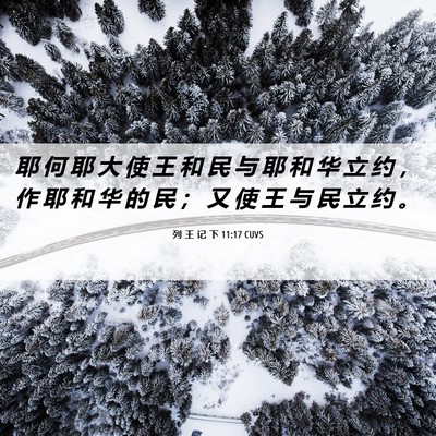Picture 06 - 列 王 记 下 11:17 CUVS - 耶 何 耶 大 使 王 和 民 与 耶 和 华 - Bible Verse Picture