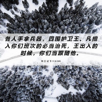 Picture 06 - 列 王 记 下 11:8 CUVS - 各 人 手 拿 兵 器 ， 四 围 护 卫 王 - Bible Verse Picture