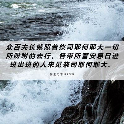 Picture 06 - 列 王 记 下 11:9 CUVS - 众 百 夫 长 就 照 着 祭 司 耶 何 耶 - Bible Verse Picture