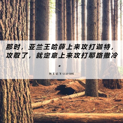 Picture 06 - 列 王 记 下 12:17 CUVS - 那 时 ， 亚 兰 王 哈 薛 上 来 攻 打 - Bible Verse Picture