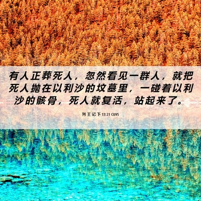 Picture 06 - 列 王 记 下 13:21 CUVS - 有 人 正 葬 死 人 ， 忽 然 看 见 一 - Bible Verse Picture