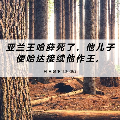 Picture 06 - 列 王 记 下 13:24 CUVS - 亚 兰 王 哈 薛 死 了 ， 他 儿 子 便 - Bible Verse Picture