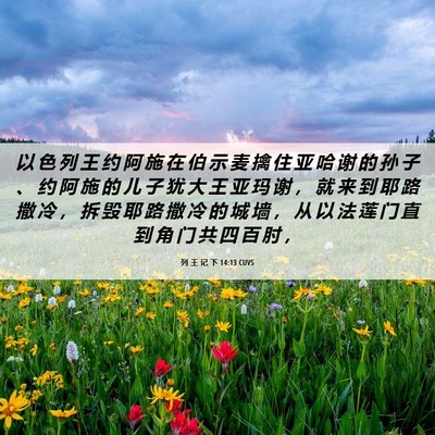 Picture 06 - 列 王 记 下 14:13 CUVS - 以 色 列 王 约 阿 施 在 伯 示 麦 擒 - Bible Verse Picture